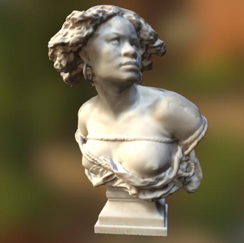bust of female slave preview image
